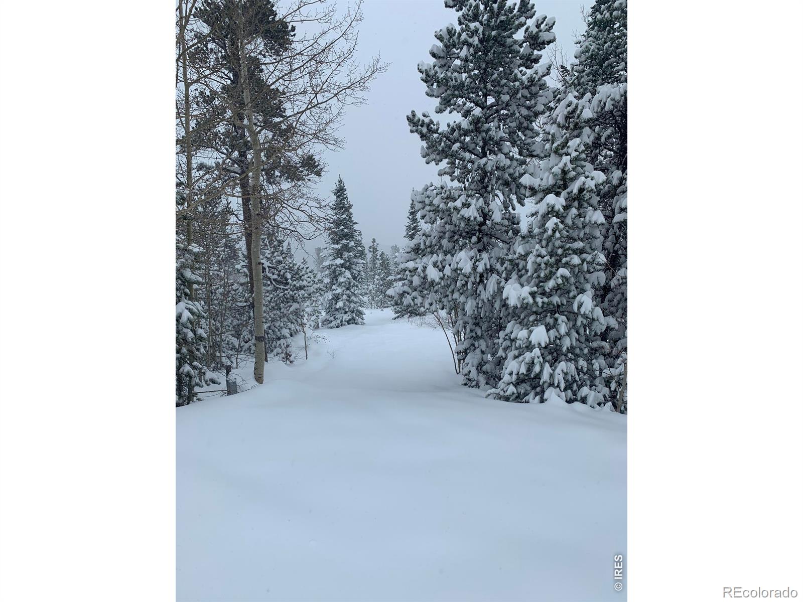44 Natchez Cir, Red Feather Lakes, CO 80545