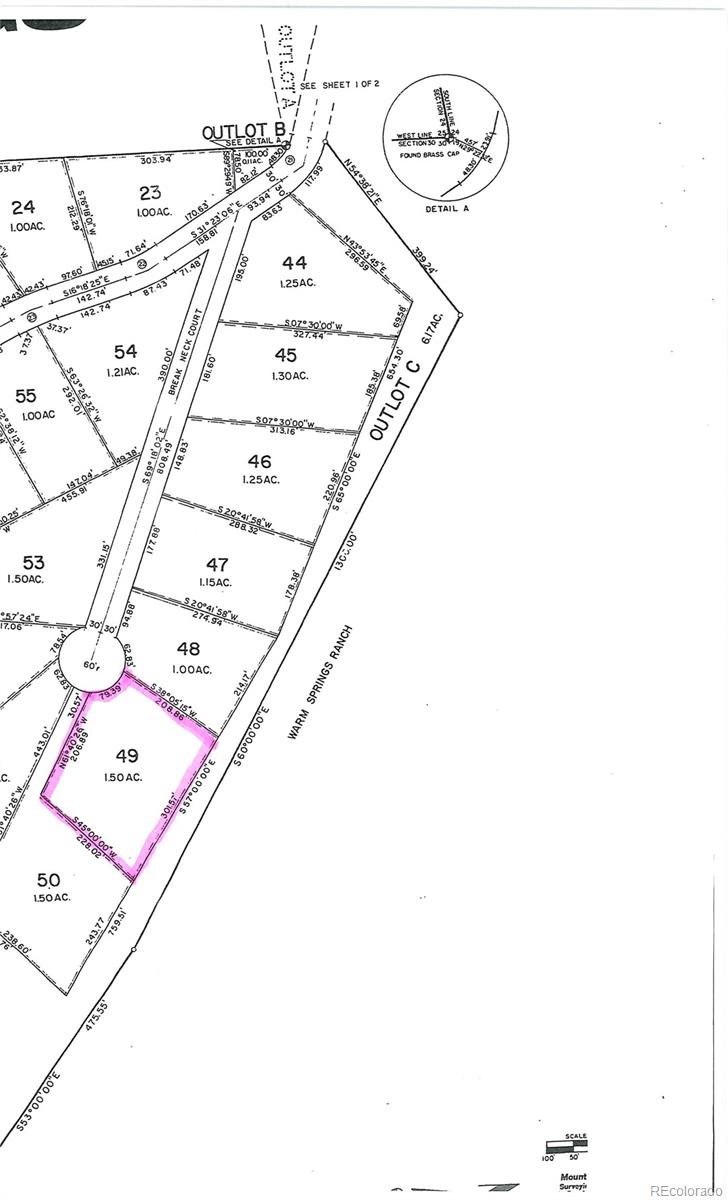 169 Fen Ct, Fairplay, CO 80440