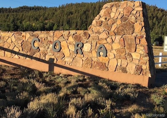 44 Clubcar Rd, Hartsel, CO 80449