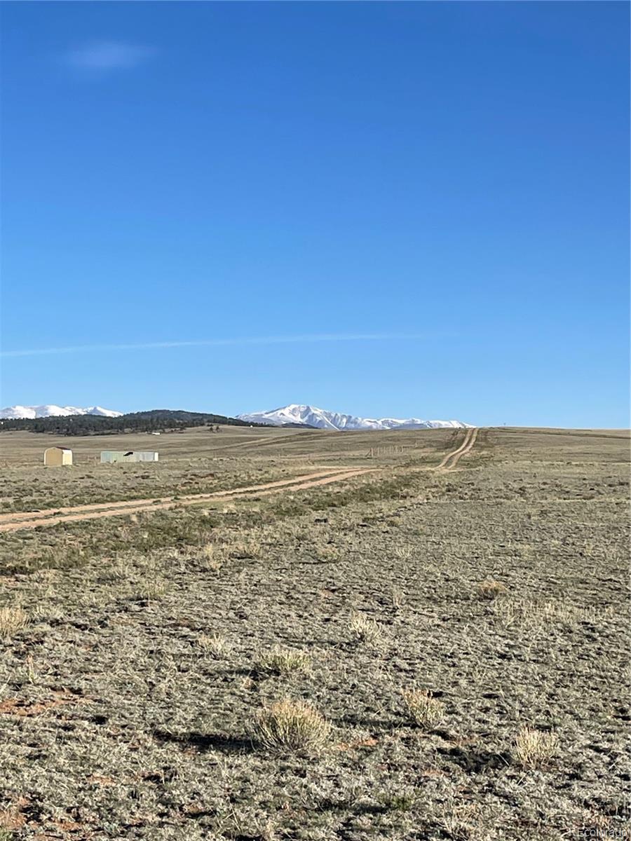 7685 Clear Creek Rd, Hartsel, CO 80449