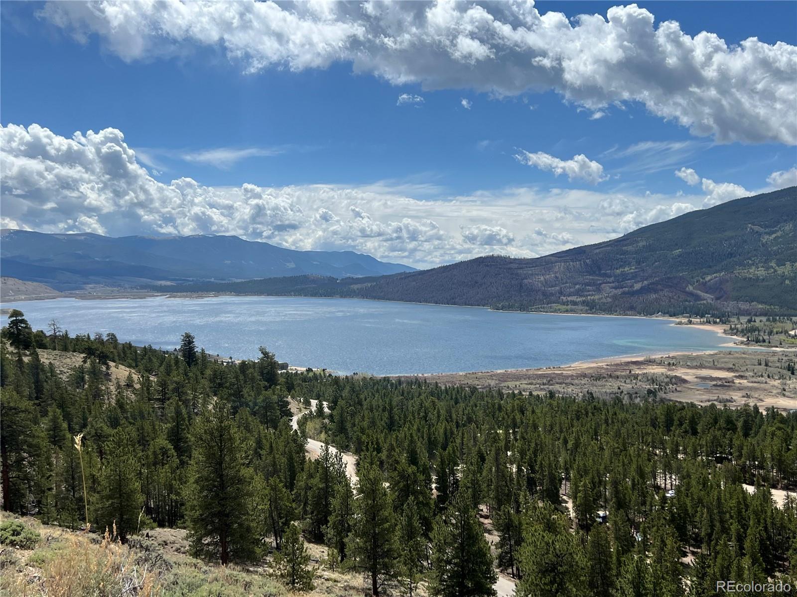 160 Birch Dr, Twin Lakes, CO 81251
