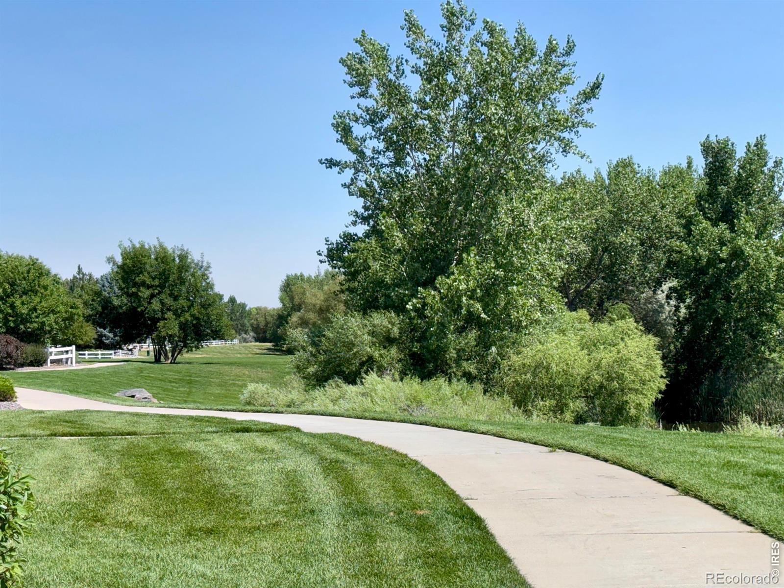 1503 Waterfront Dr, Windsor, CO 80550