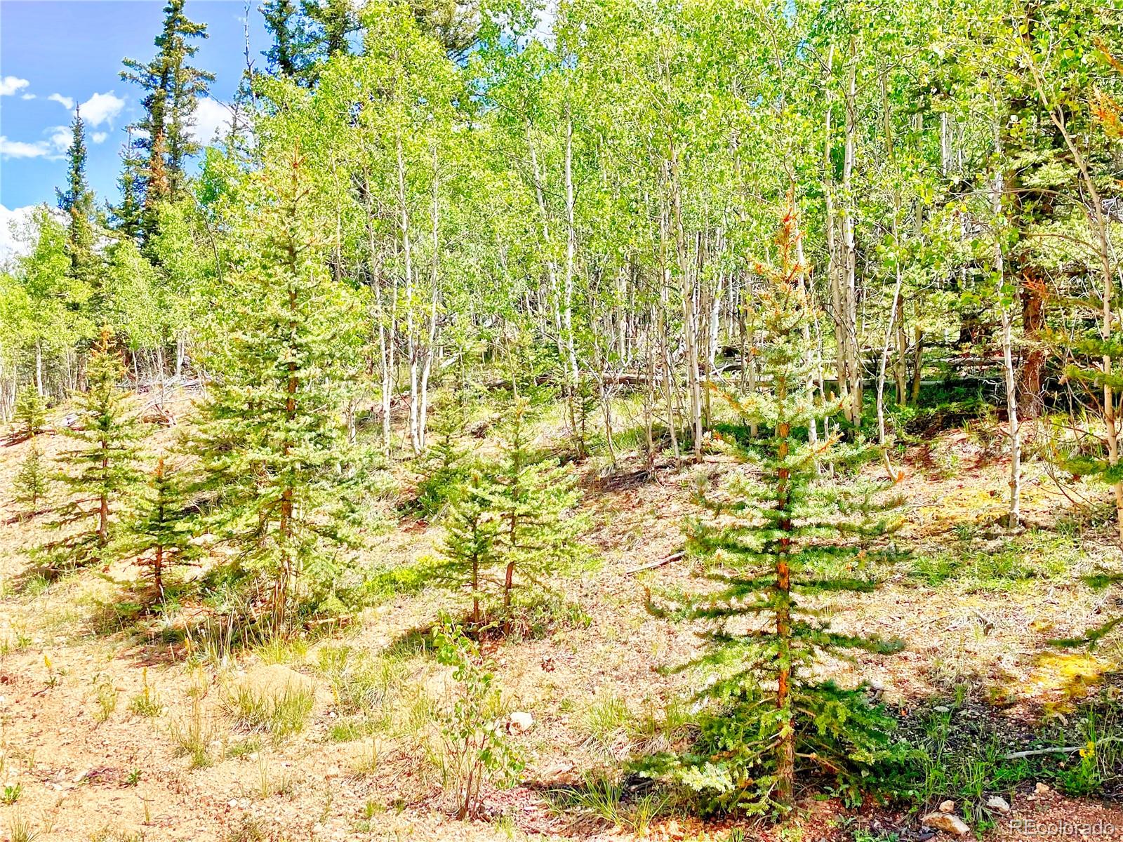 224 Apache Trl, Como, CO 80456