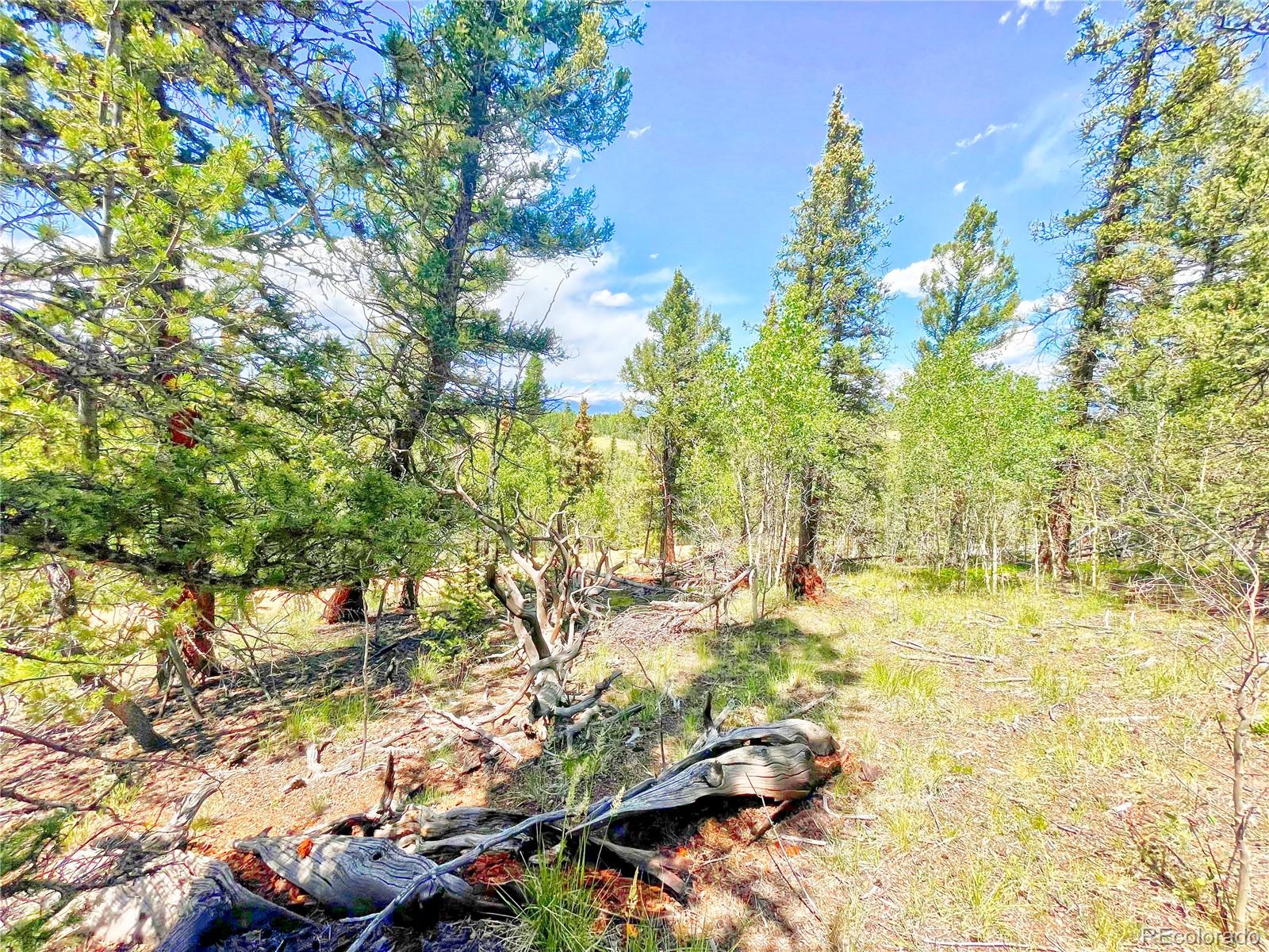 224 Apache Trl, Como, CO 80456