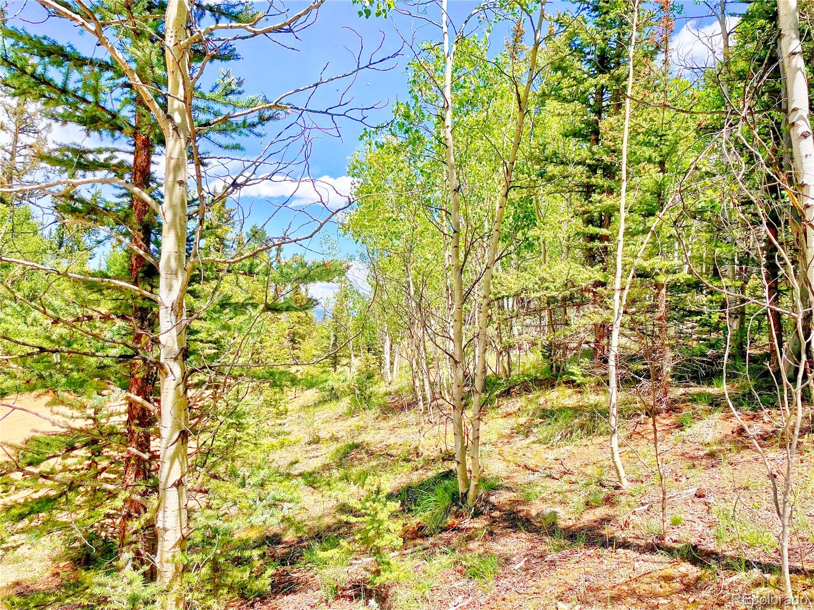 224 Apache Trl, Como, CO 80456
