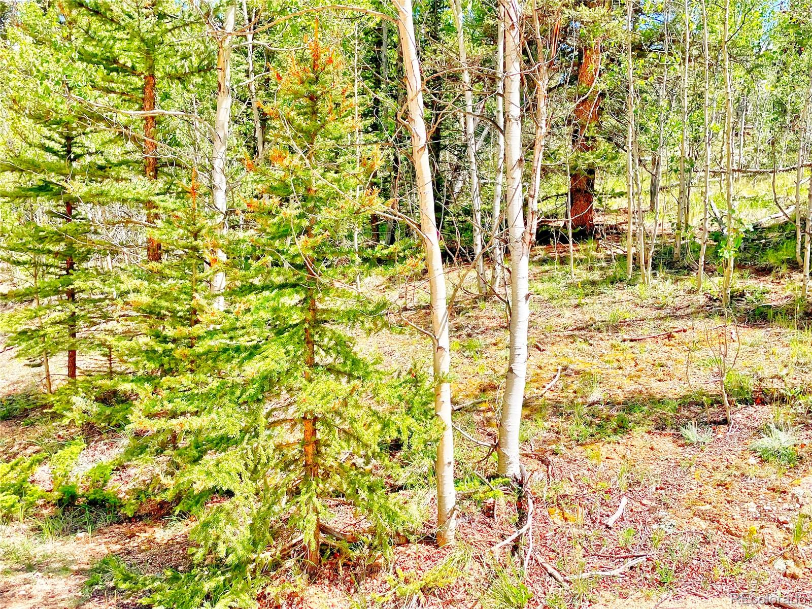 224 Apache Trl, Como, CO 80456