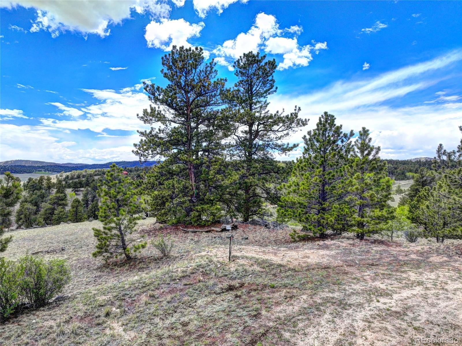33 Jasper Way, Hartsel, CO 80449