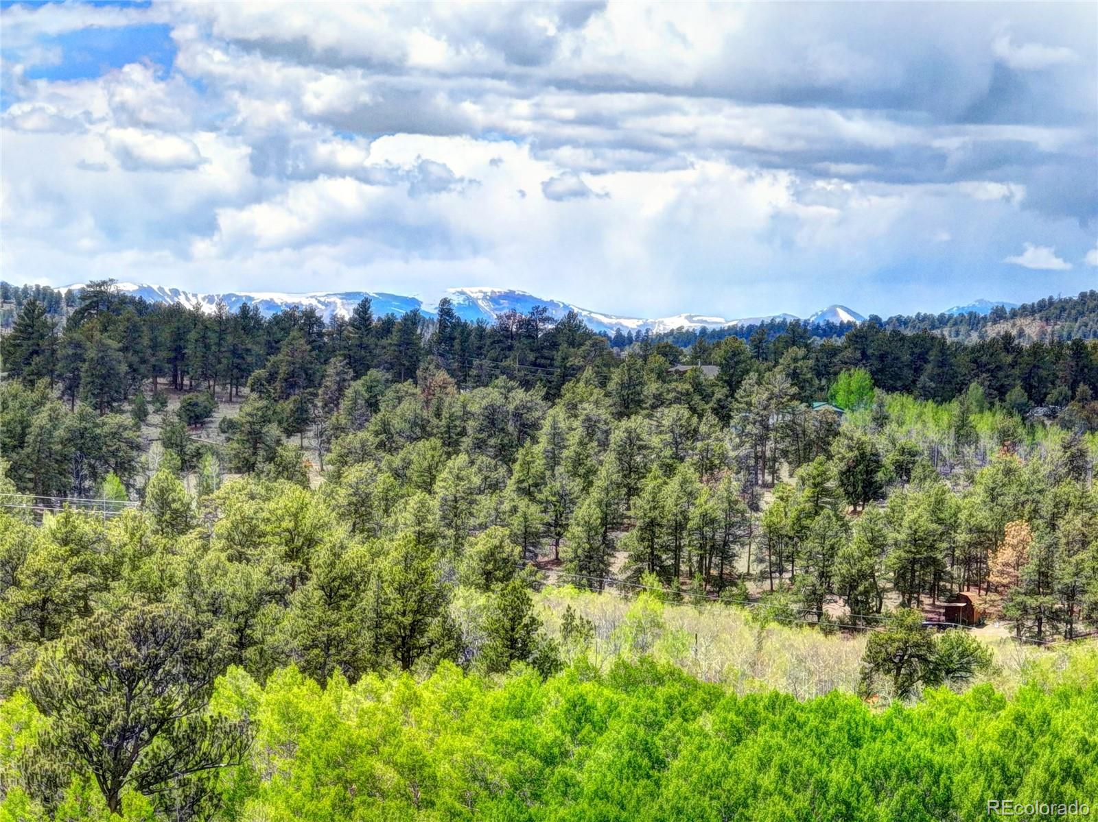 33 Jasper Way, Hartsel, CO 80449