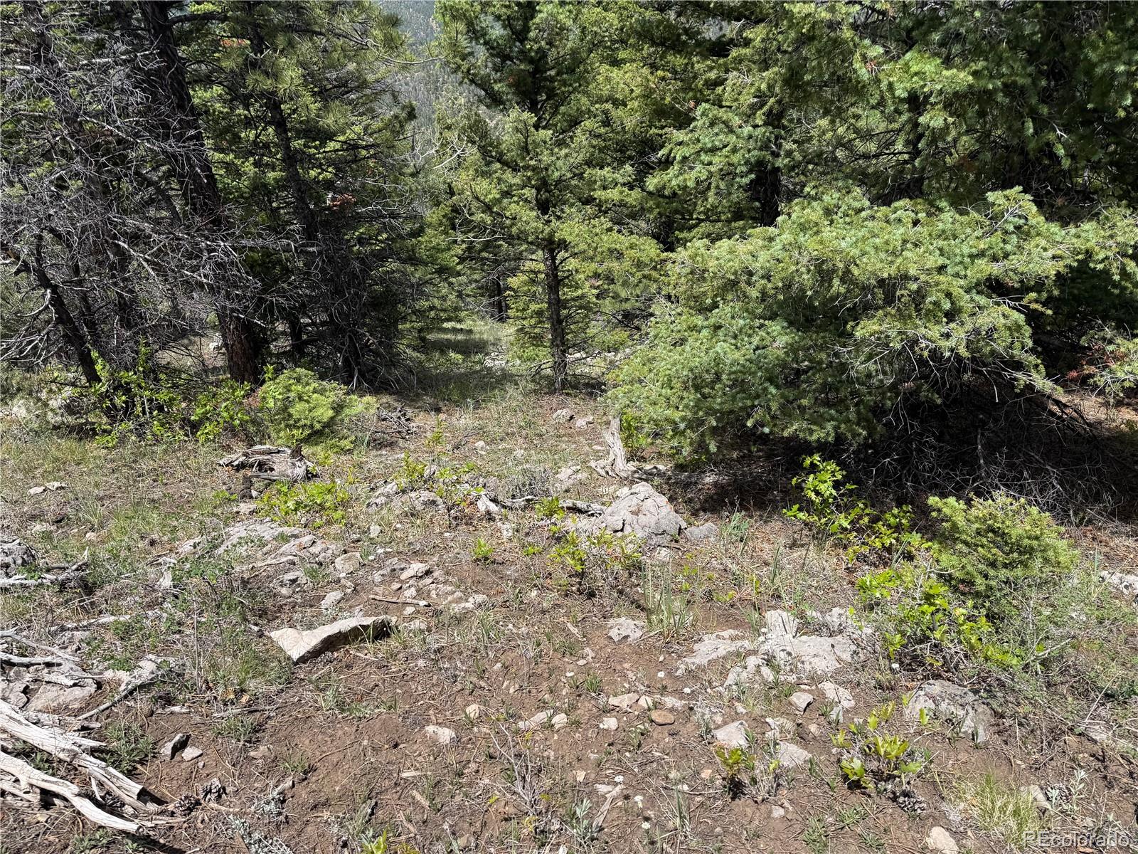 Knotty Pine Rd, Howard, CO 81233