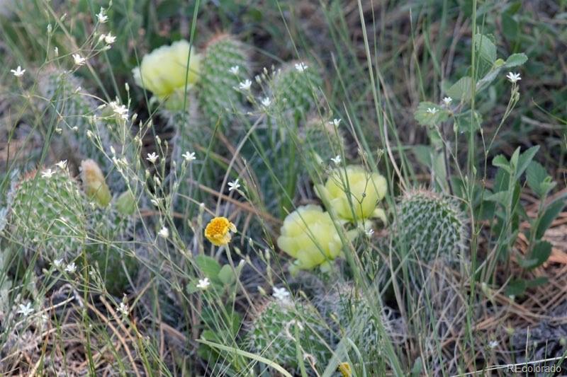 Tract 5 Mcclelland Rd Lot 5, Calhan, CO 80808
