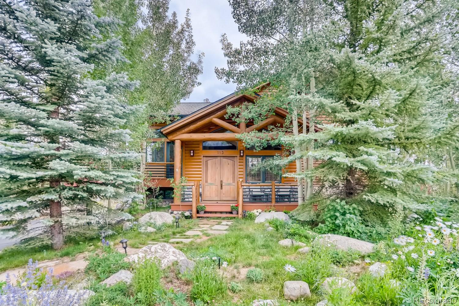 113 Primrose Pl, Frisco, CO 80443