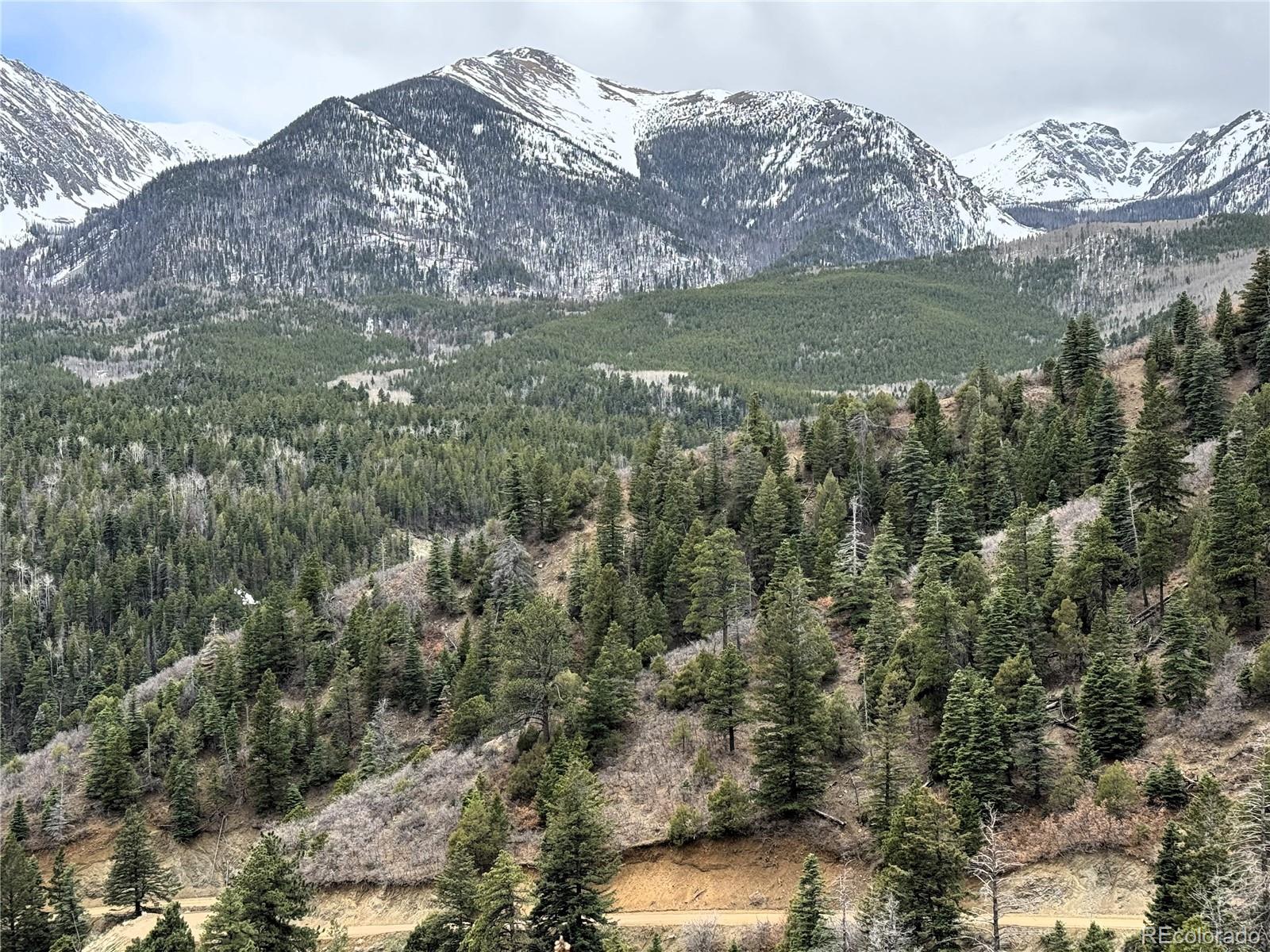 Lot 63 Knotty Pine Rd, Howard, CO 81233