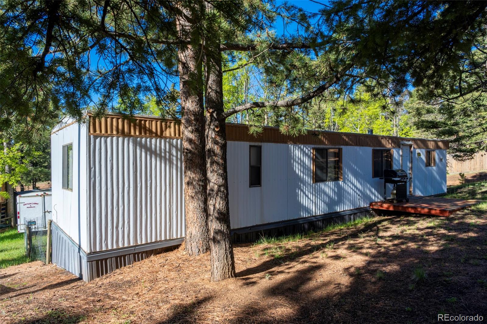 310 Blossom Rd, Woodland Park, CO 80863