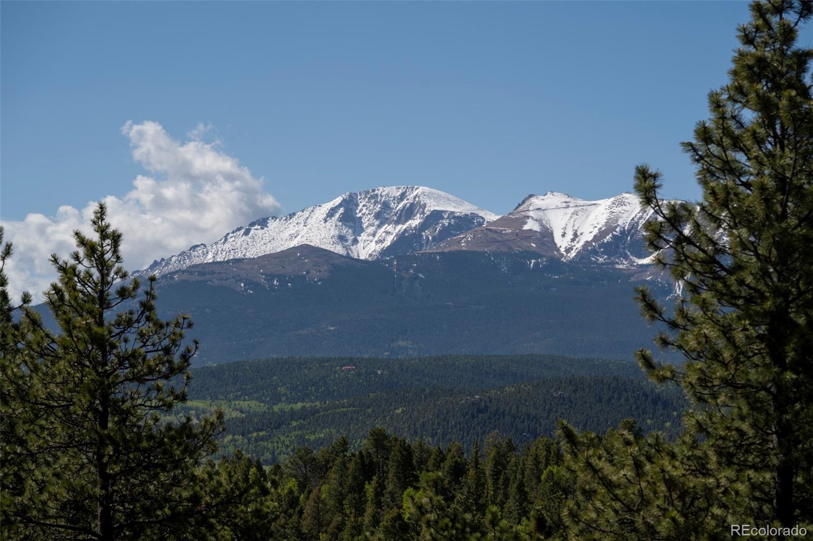 310 Blossom Rd, Woodland Park, CO 80863