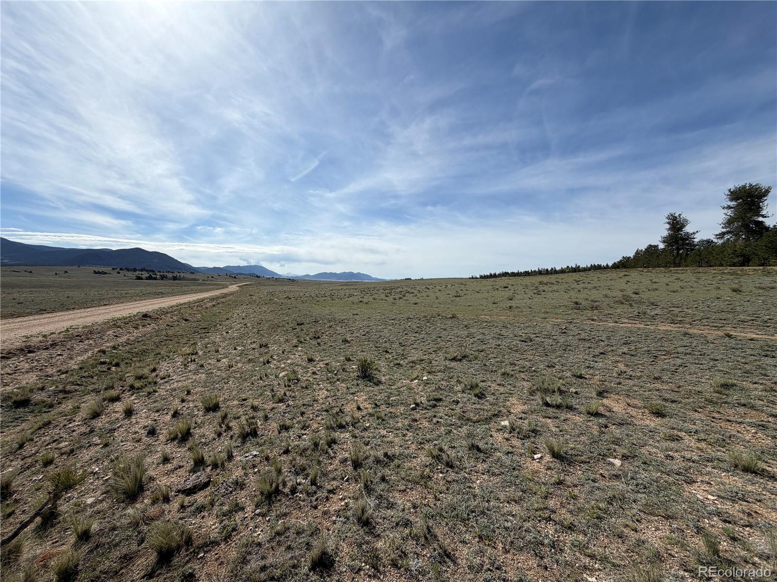 3530 Goldenburg Canyon Rd, Hartsel, CO 80449