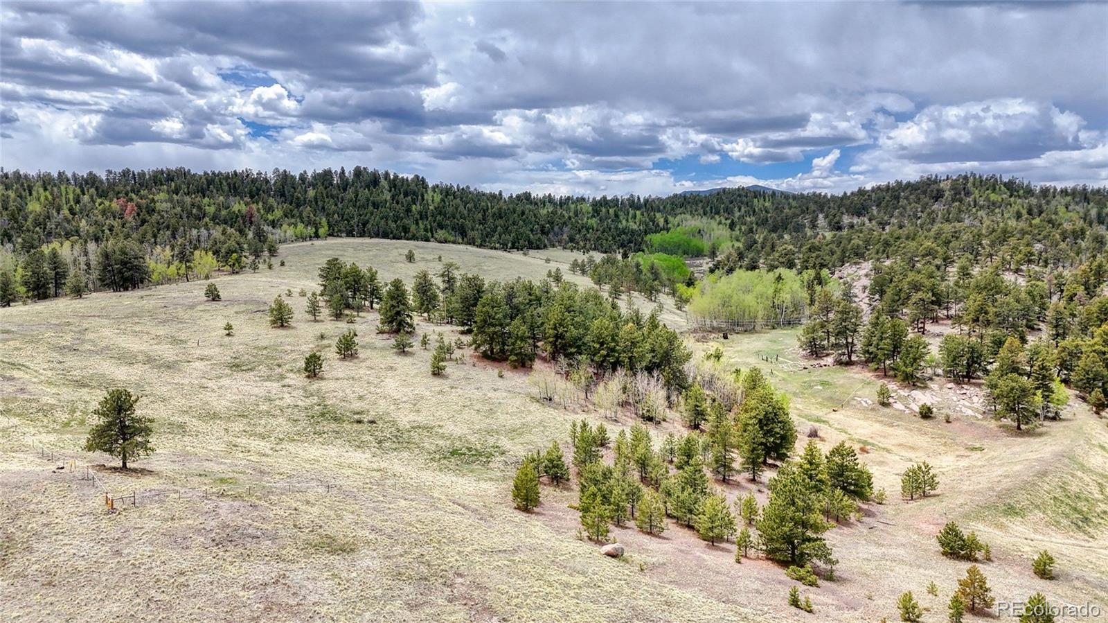 Lot 007 County Road 403, Florissant, CO 80816