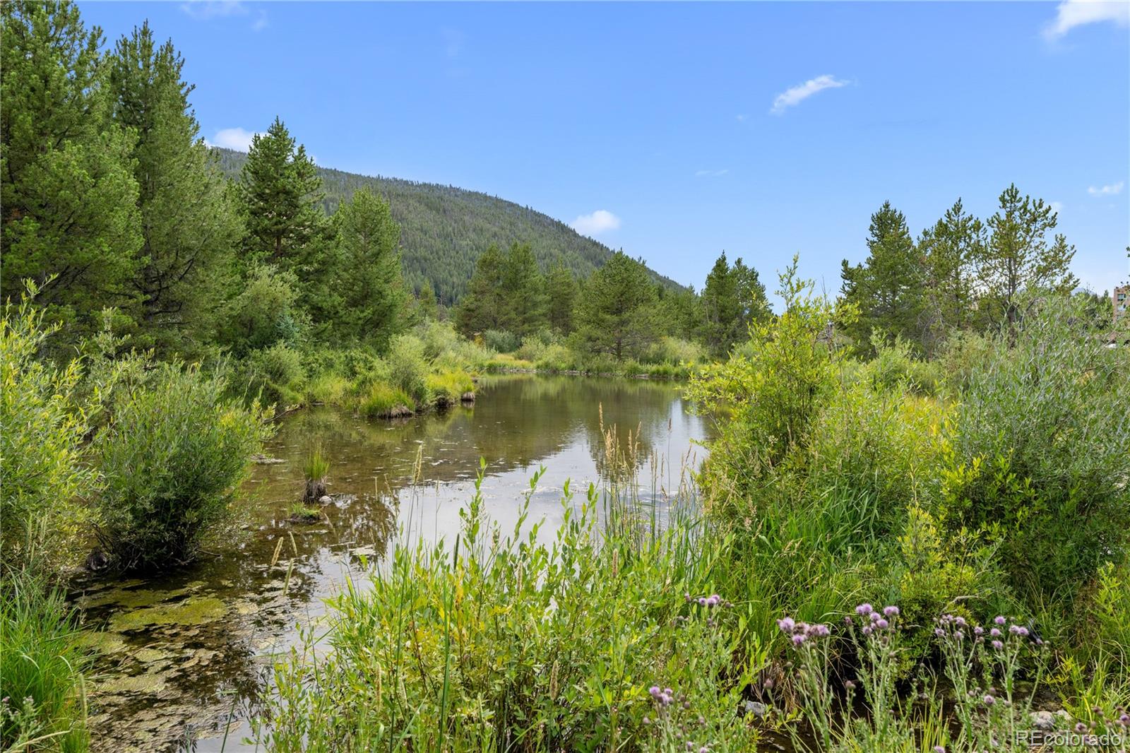 1653 Oro Grande Dr #AA38, Dillon, CO 80435