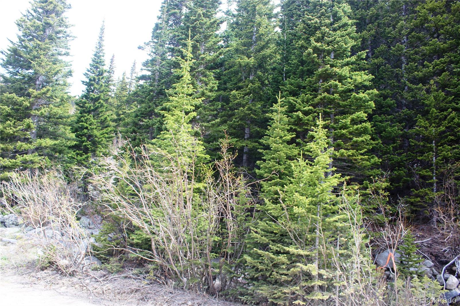 00 Mine Rd Lot 30, Idaho Springs, CO 80461