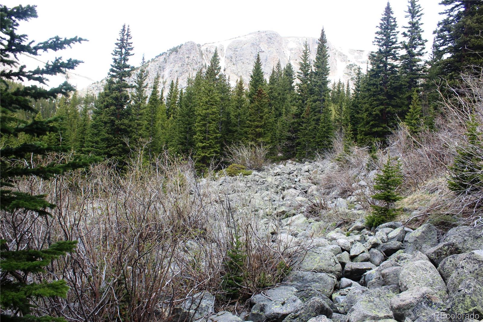 00 Mine Rd Lot 30, Idaho Springs, CO 80461