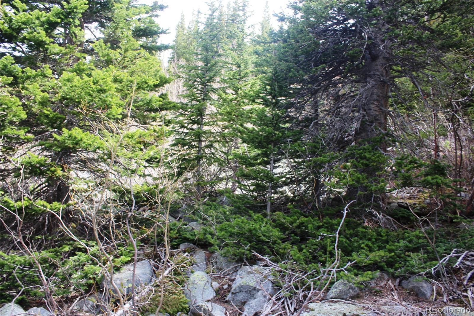 00 Mine Rd Lot 30, Idaho Springs, CO 80461