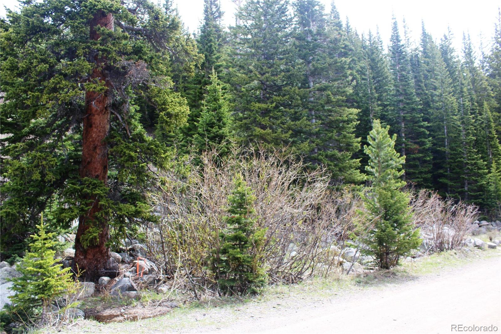 00 Mine Rd Lot 30, Idaho Springs, CO 80461