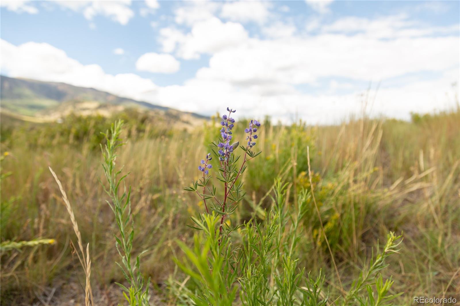 341 Spruce Dr, Creede, CO 81130