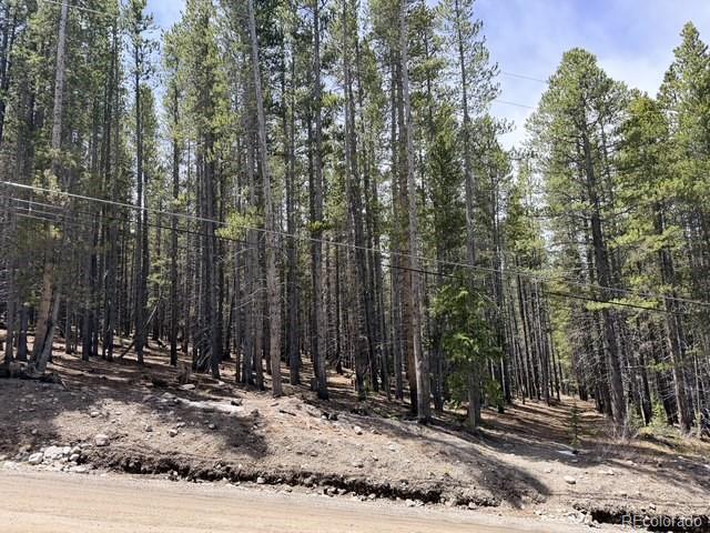 0064 Cr 534 Lot 46, Breckenridge, CO 80424