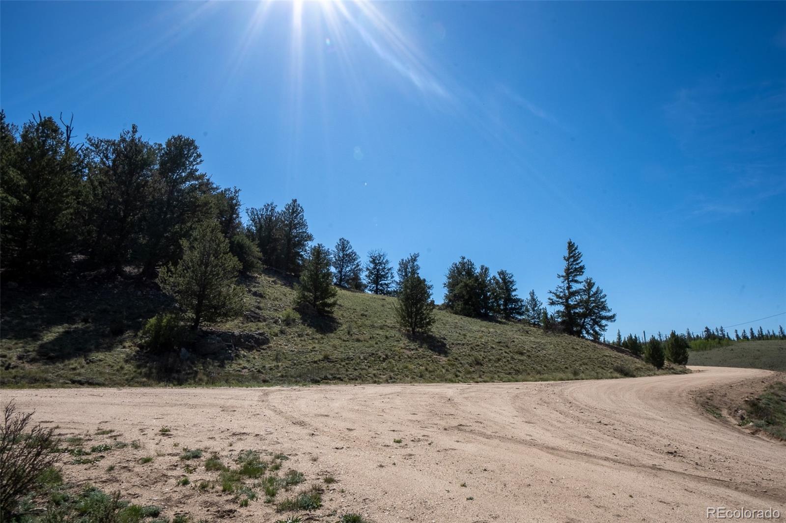 4484 Remington Rd, Jefferson, CO 80456