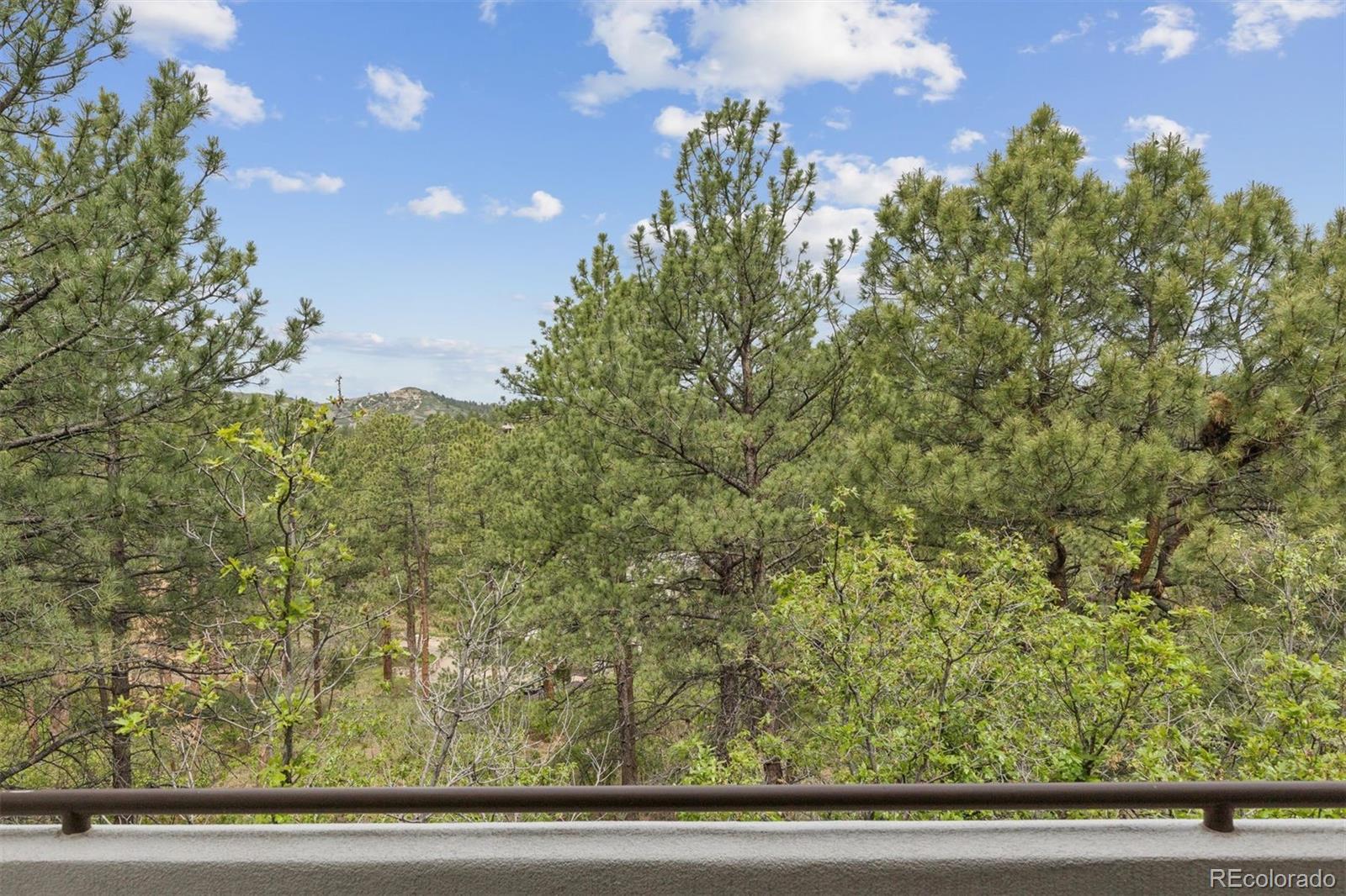 163 Glengarry Pl, Castle Rock, CO 80108