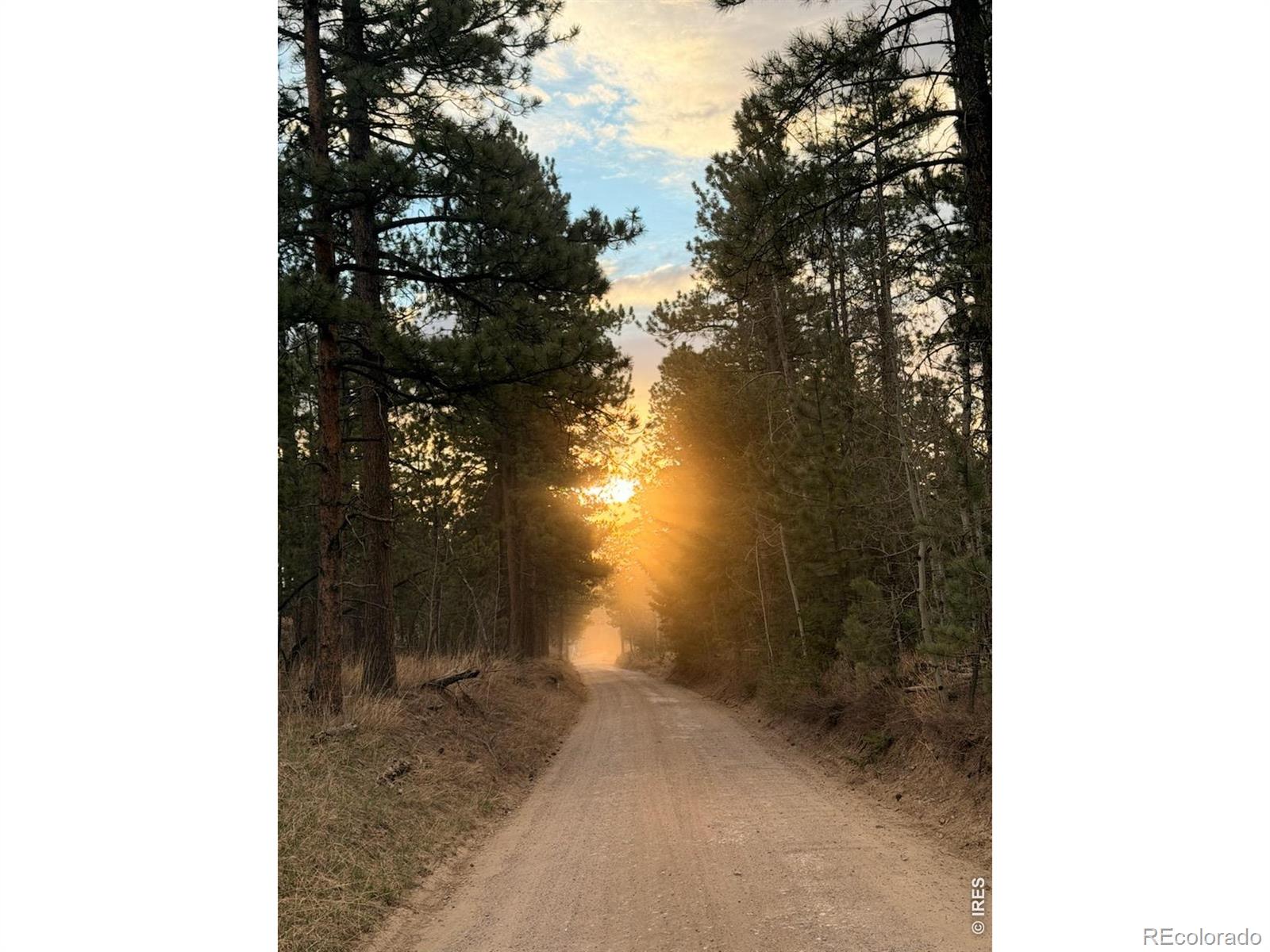 892 Stratton Park Rd, Bellvue, CO 80512