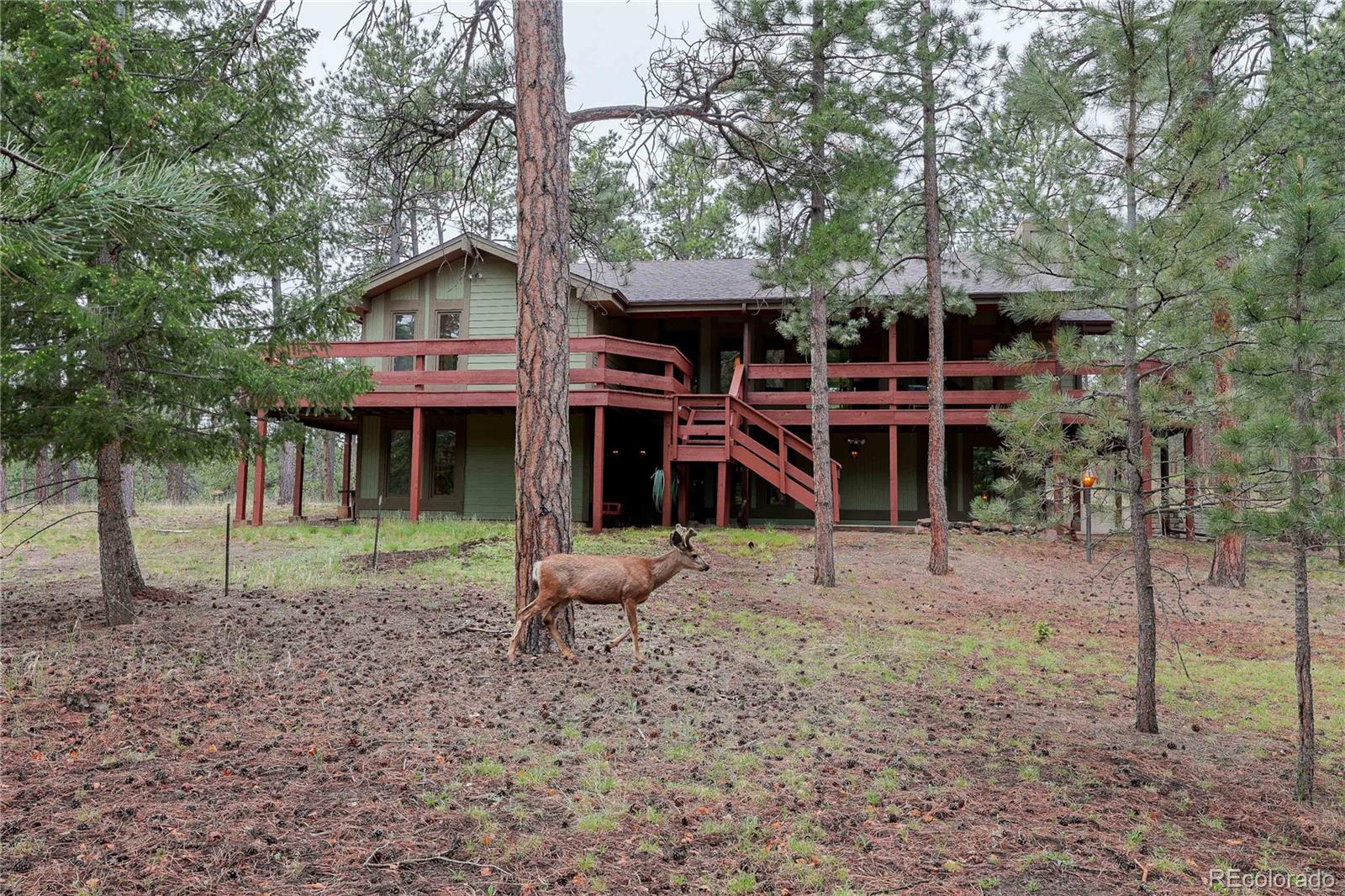 4490 Red Rock Dr, Larkspur, CO 80118