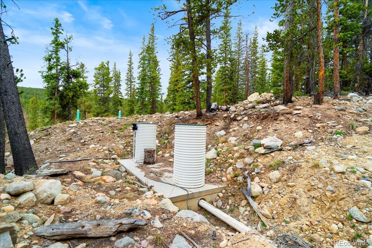 3259 Nugget Rd, Fairplay, CO 80440