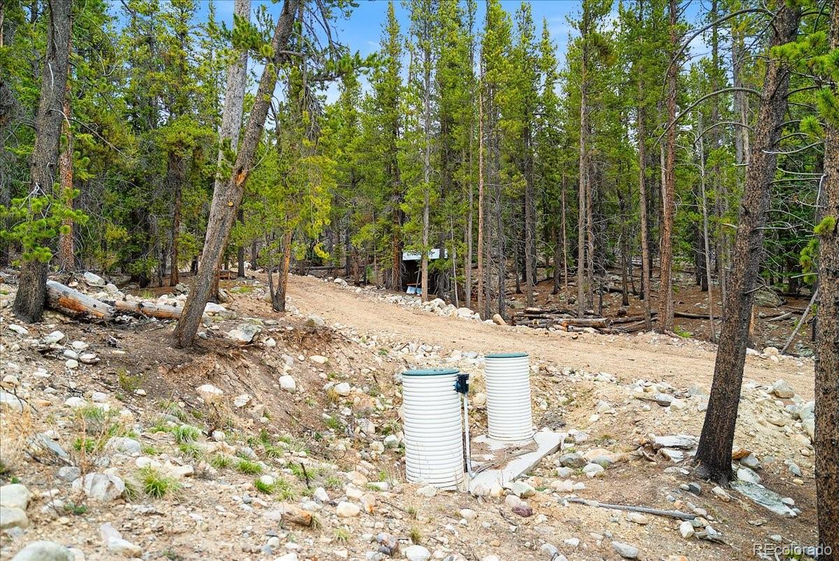 3259 Nugget Rd, Fairplay, CO 80440