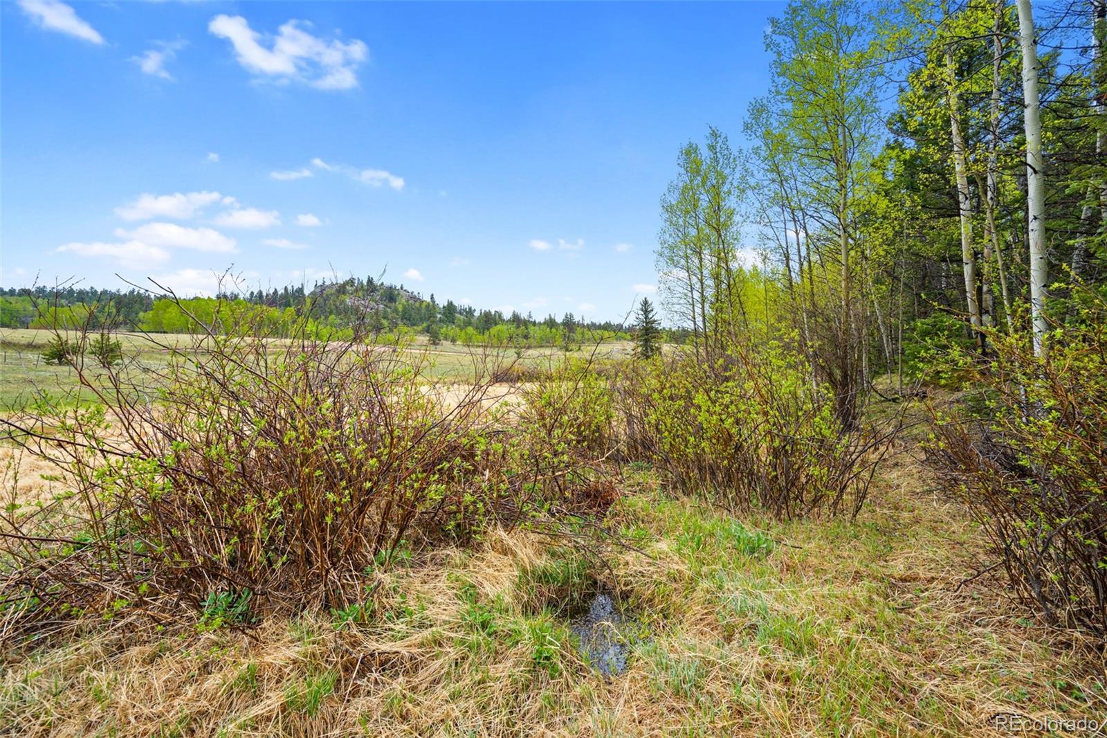 522 Hidden Valley Dr, Lake George, CO 80827
