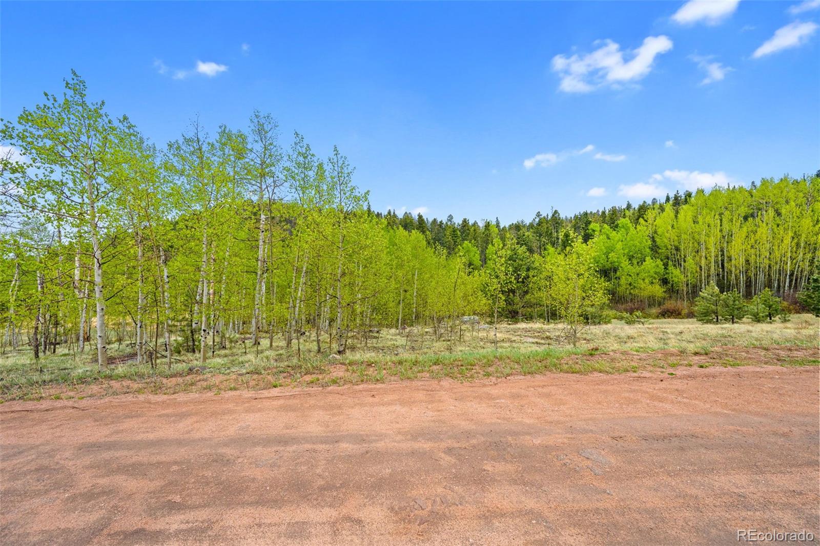 522 Hidden Valley Dr, Lake George, CO 80827