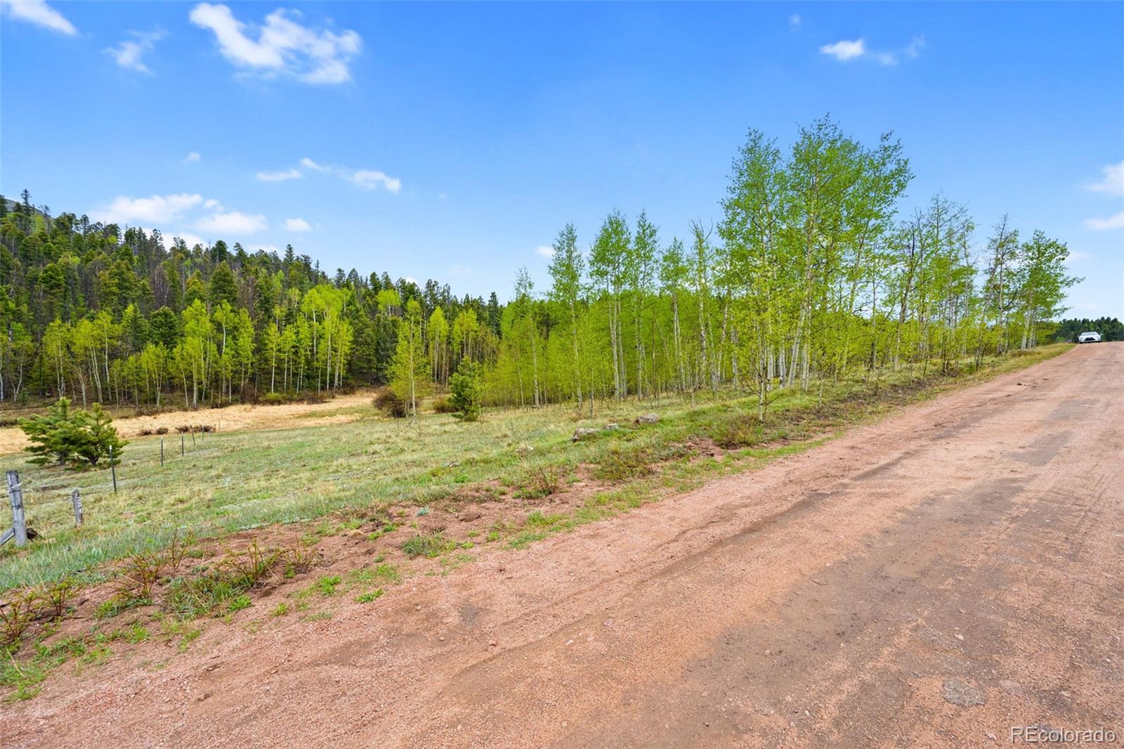 522 Hidden Valley Dr, Lake George, CO 80827