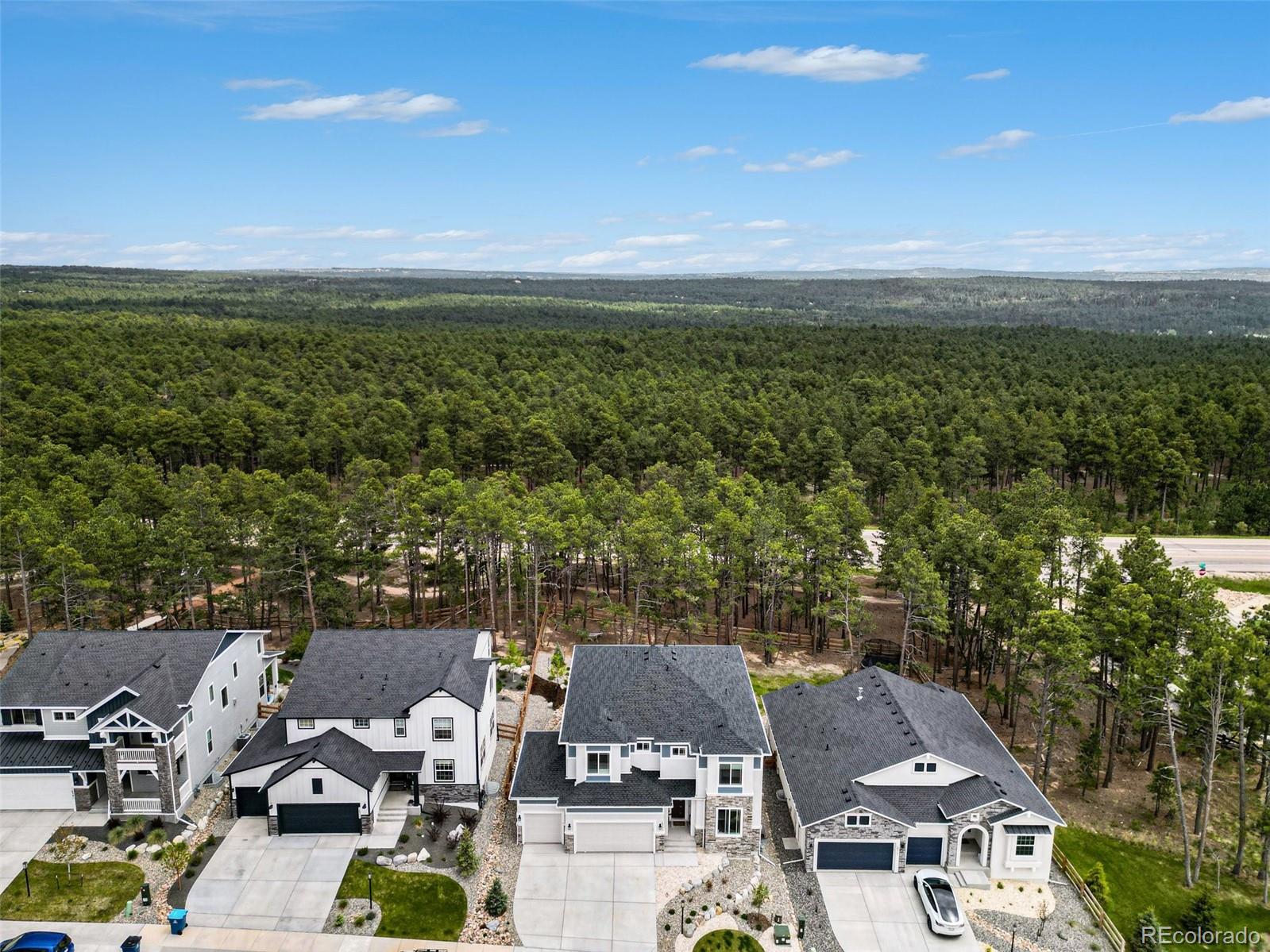 16325 Treetop Glory Ct, Monument, CO 80132