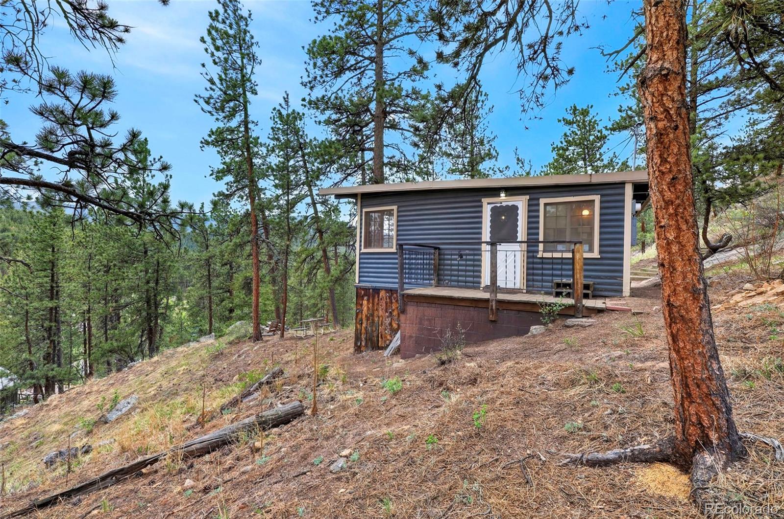 354 Mesa Dr, Evergreen, CO 80439