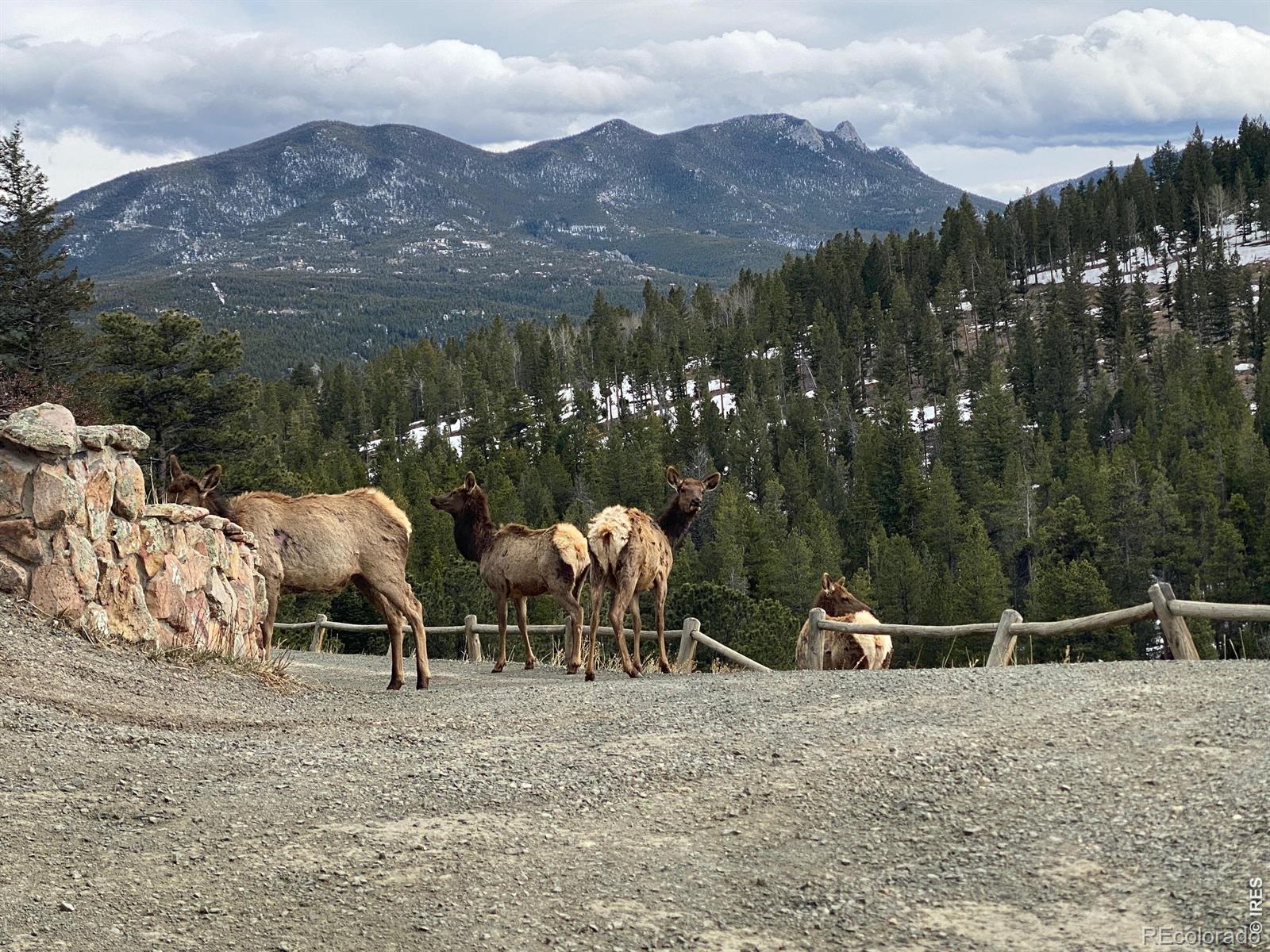 515 N Beaver Rd, Nederland, CO 80466