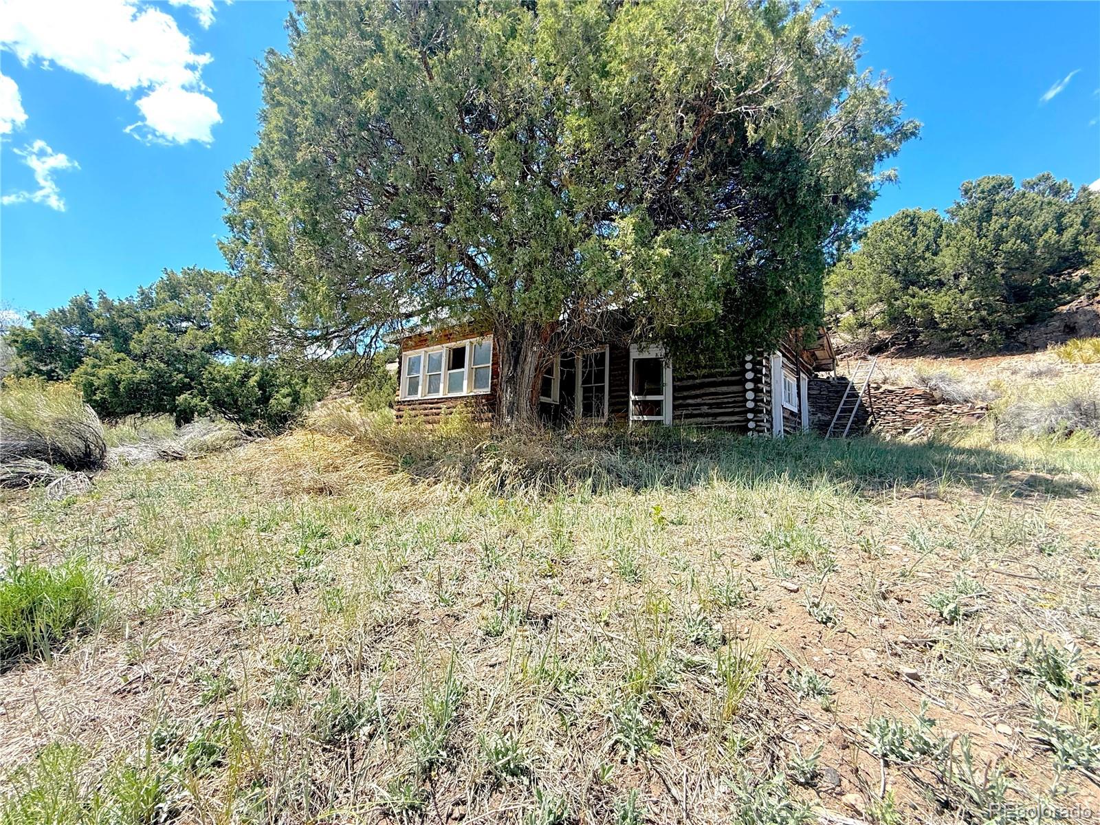 7 Elk Mountain Lot 7, Saguache, CO 81149