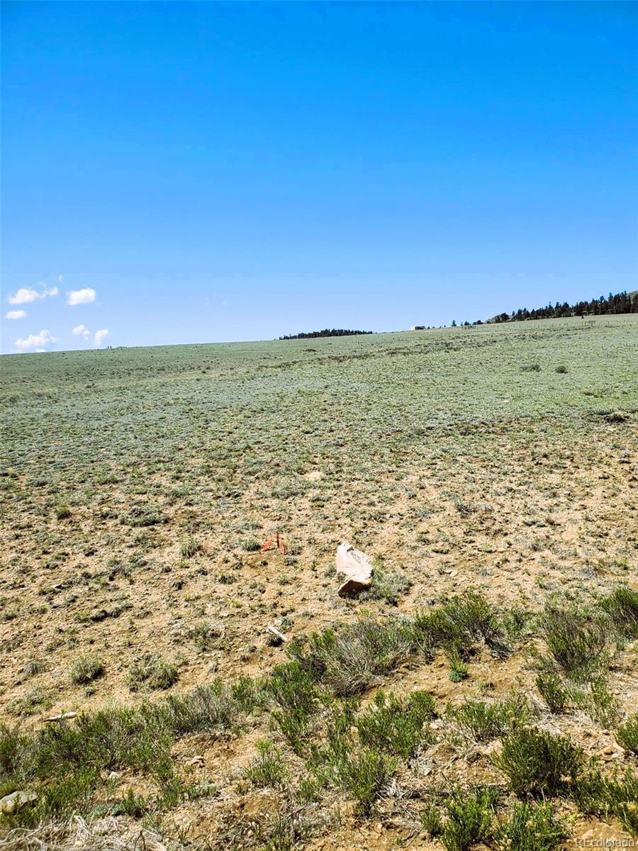 642 Mesa Rd Lot 40, Hartsel, CO 80449