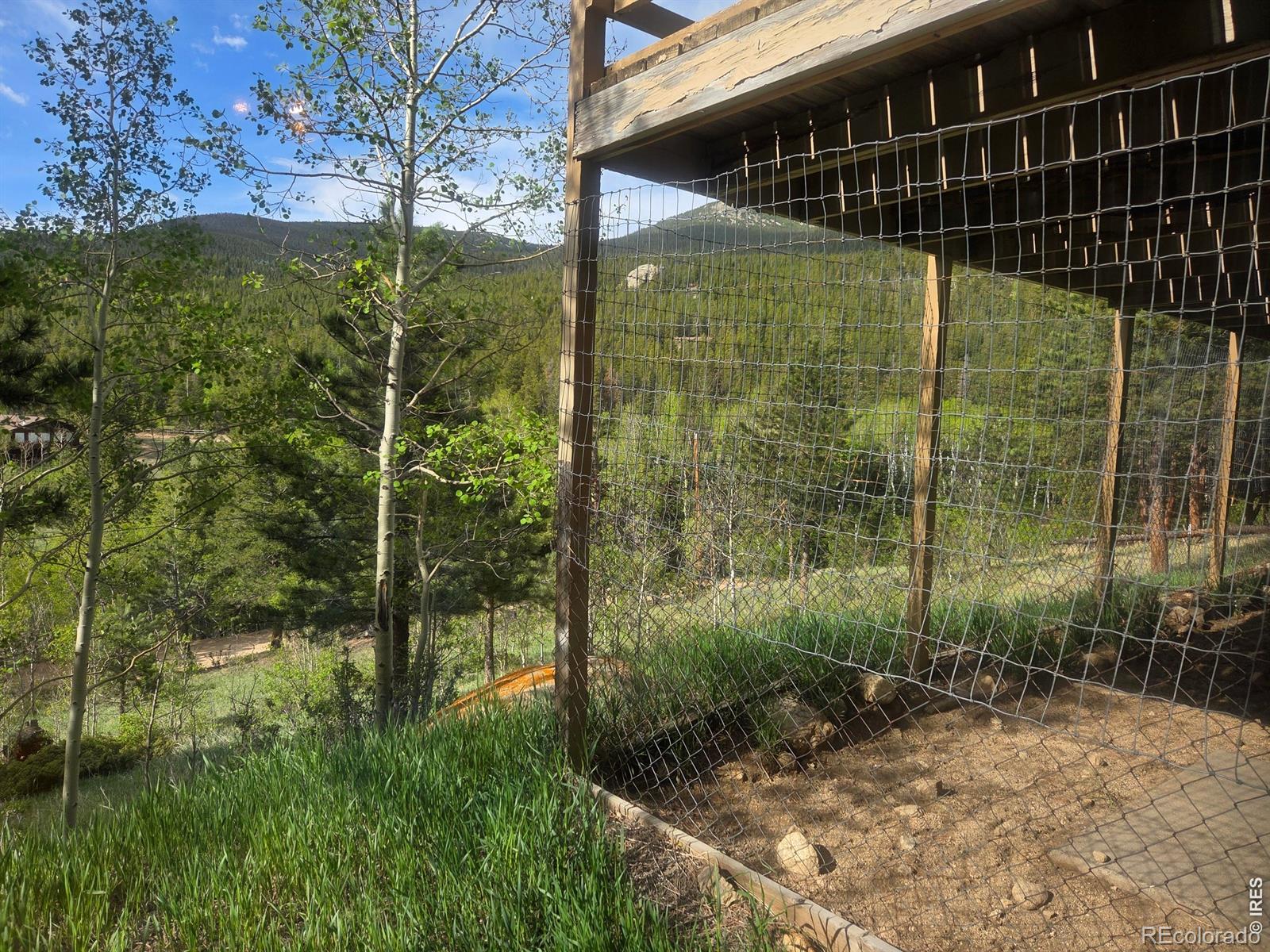 328 N Skinner Rd, Allenspark, CO 80510