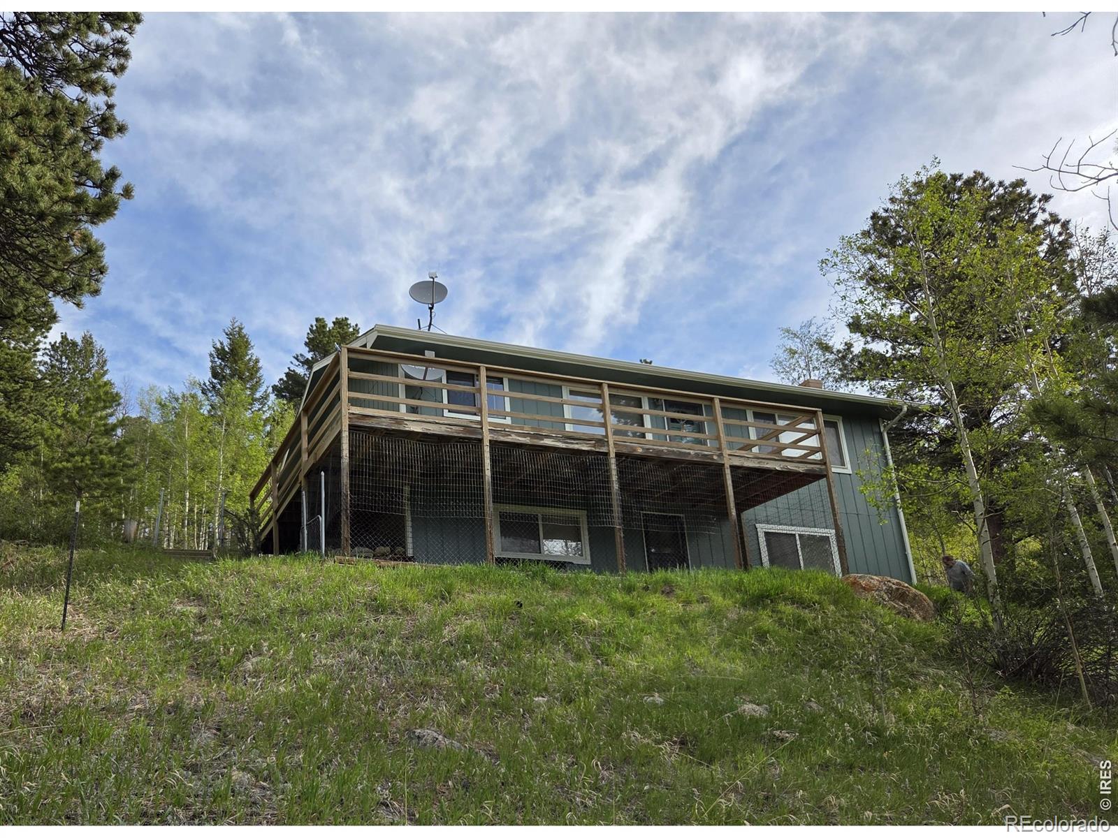328 N Skinner Rd, Allenspark, CO 80510