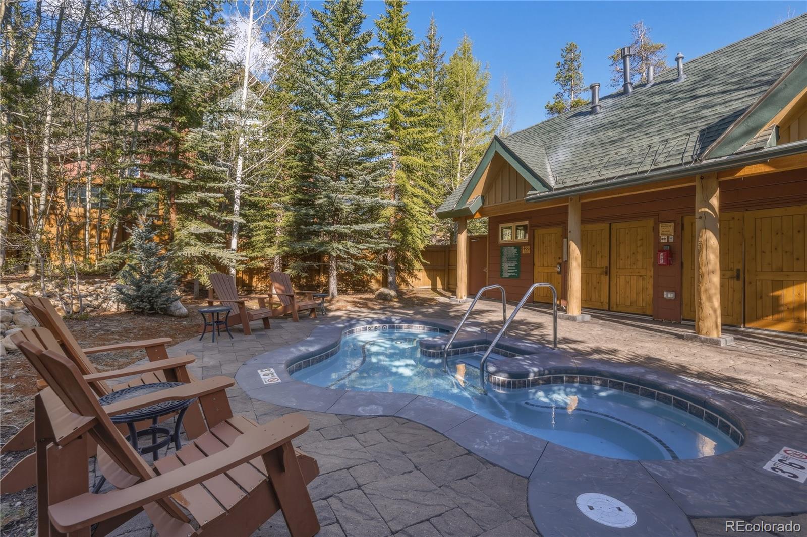 226 Alpen Rose Pl #8722, Dillon, CO 80435