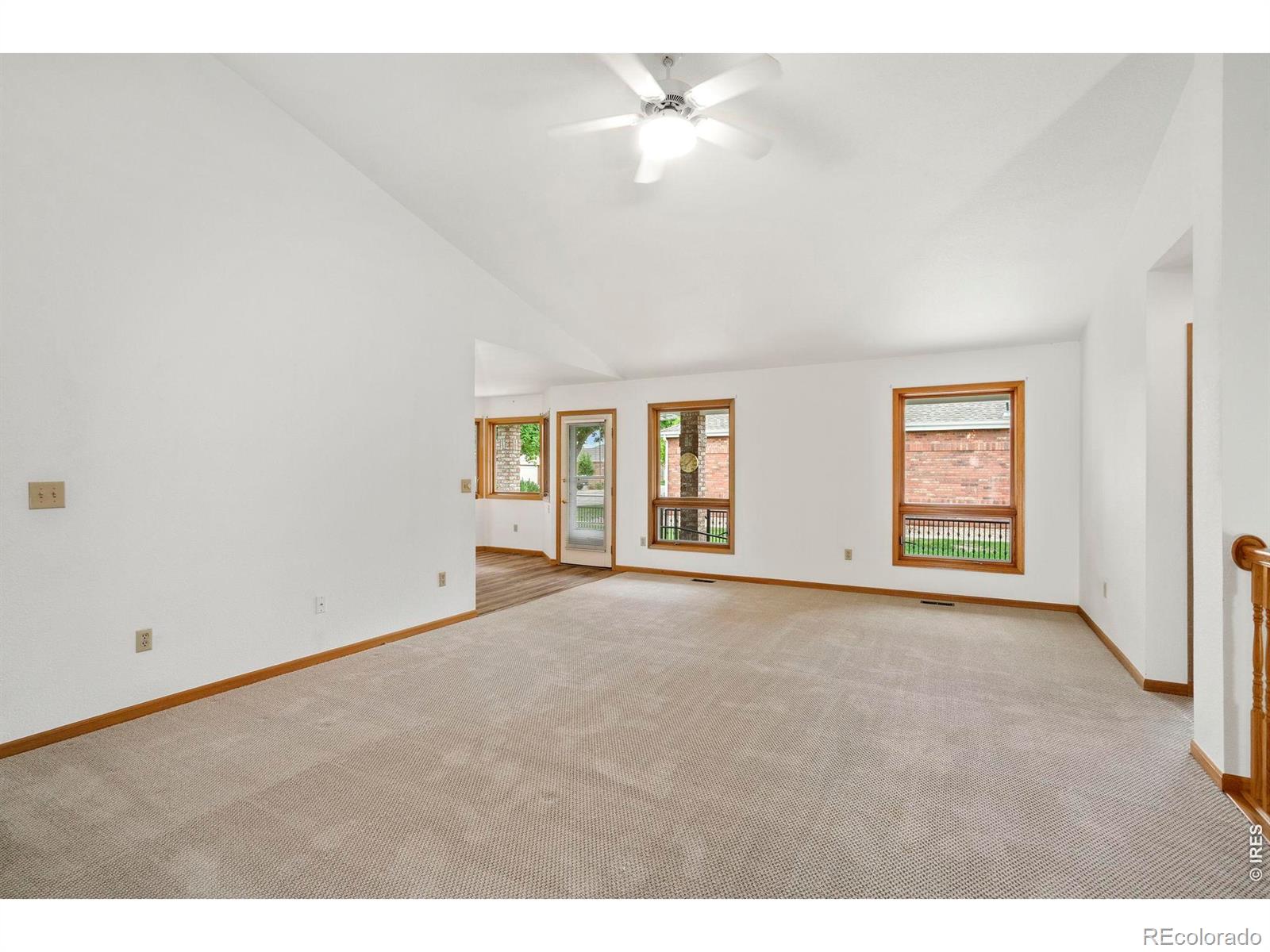 532 Trailwood Cir, Windsor, CO 80550