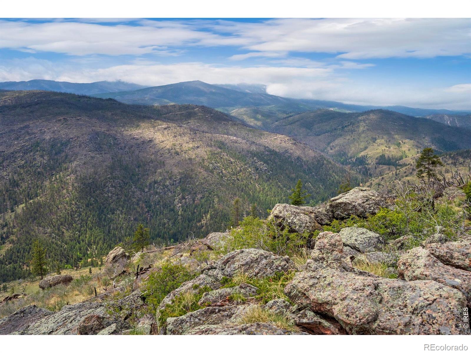 0 Spencer Mountain Rd, Bellvue, CO 80512