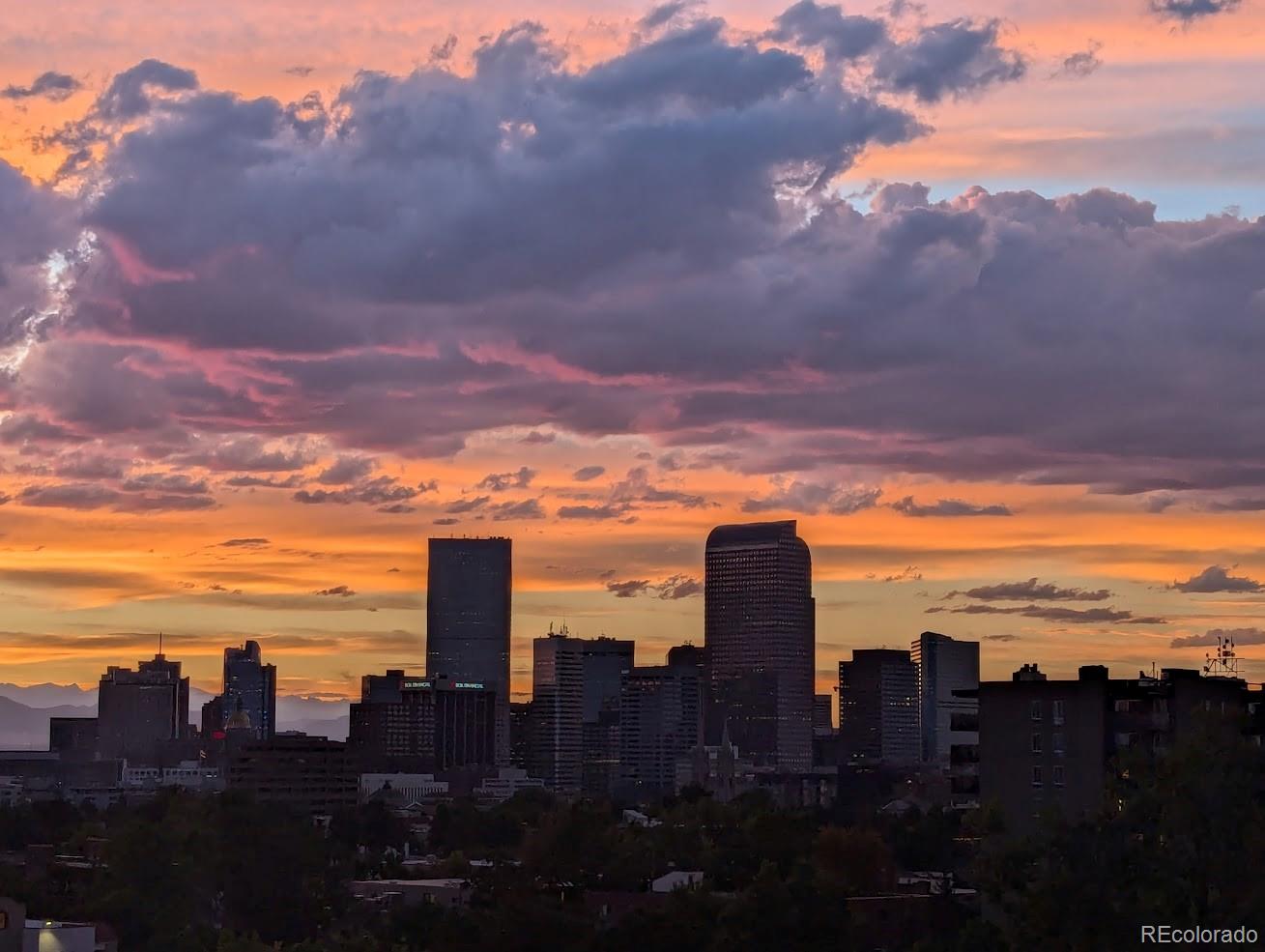 909 N Lafayette St #503, Denver, CO 80218