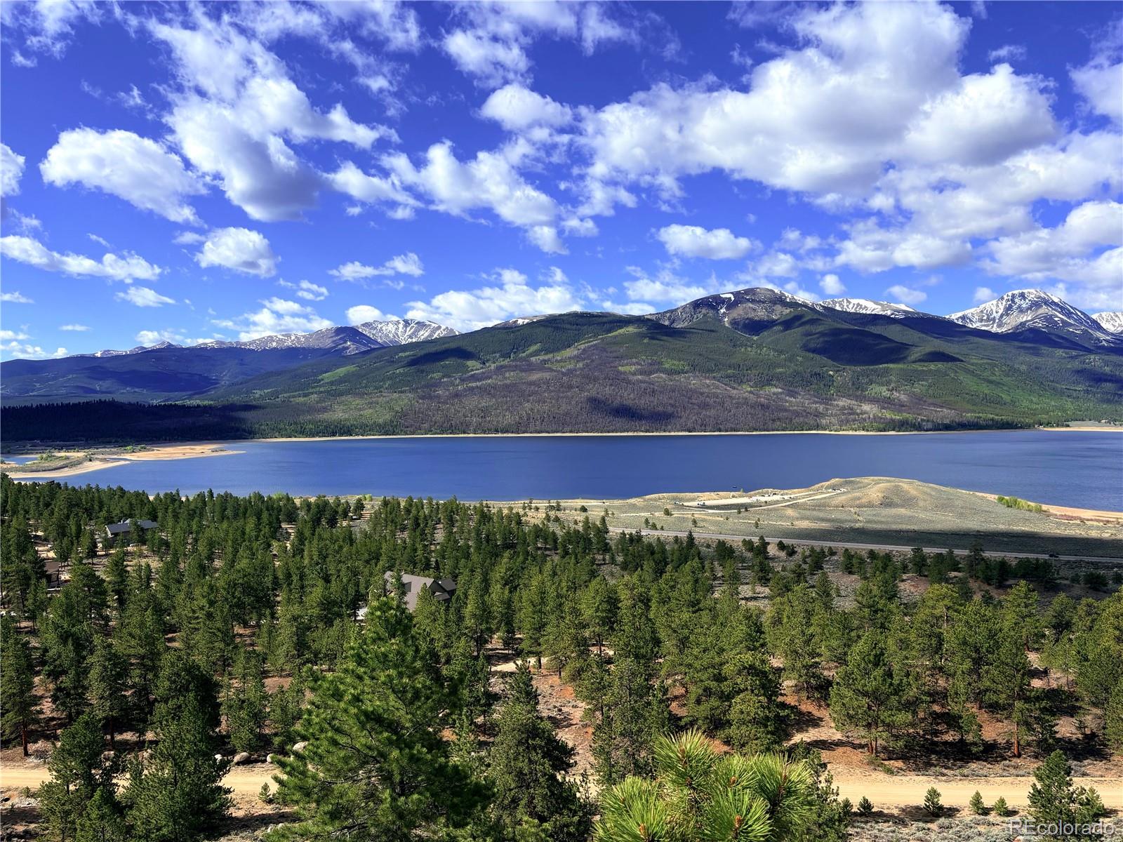 10007 Ross Dr, Twin Lakes, CO 81251
