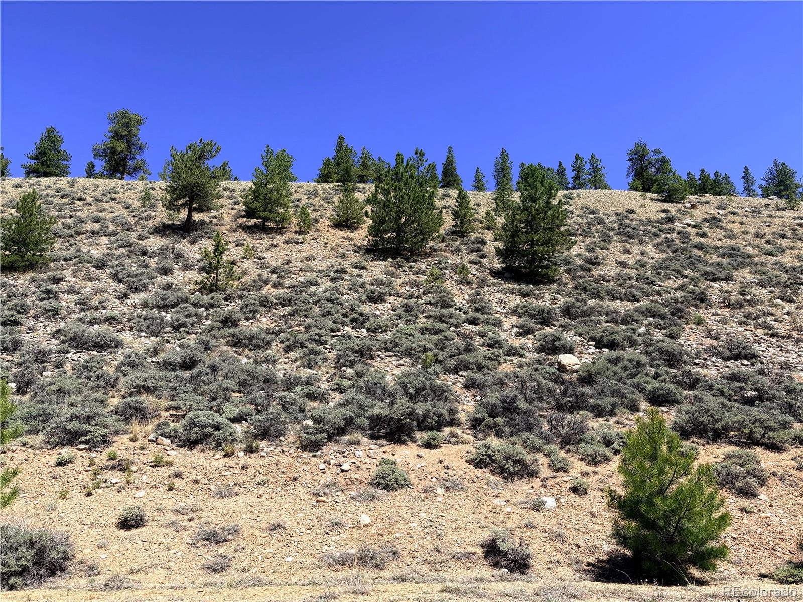 10007 Ross Dr, Twin Lakes, CO 81251