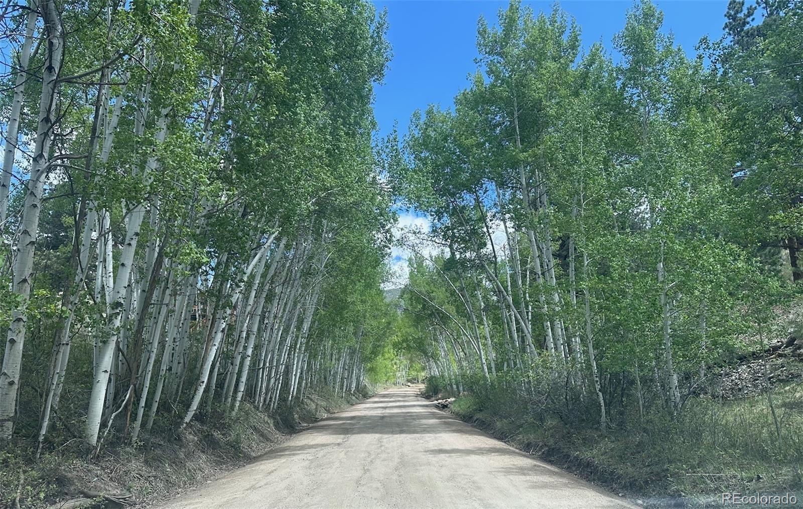 53 Scully Ln, Shawnee, CO 80475